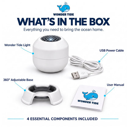 What's in the box